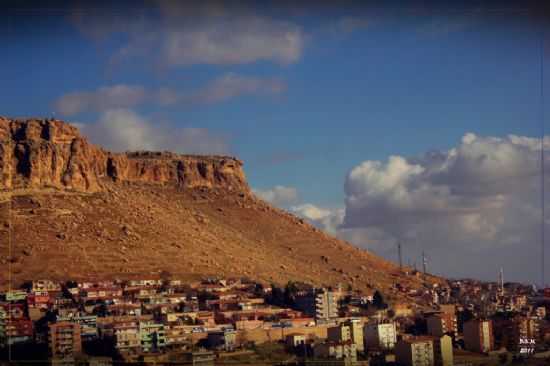 Mardin