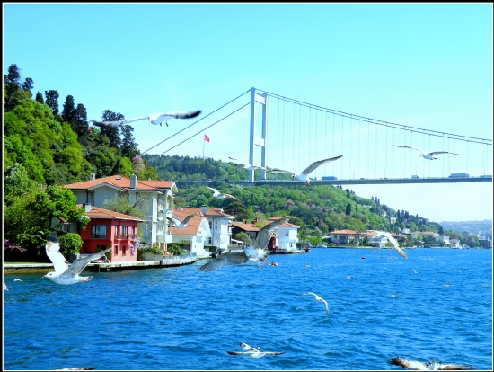 Mart Erguvan Ve Boaz