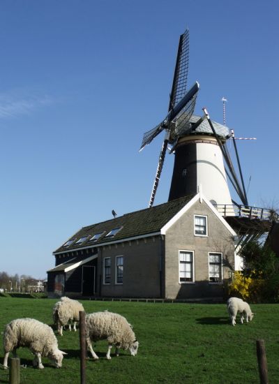 Hollanda