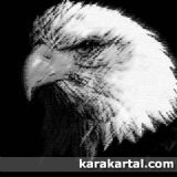 Dfadf Fafasfaf fotoraflar fotoraf galerisi. 