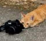 Z�hal �zg�nd�z - Takip eden foto�raf��lar.