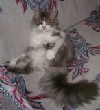 Murat �elik - Takip eden foto�raf��lar.