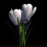 idem Kavas - Takip ettii fotoraflar.