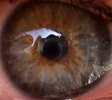 Freddy Krueger fotoraflar fotoraf galerisi. 