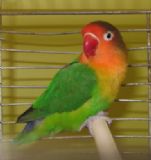 Banu il fotoraflar fotoraf galerisi. 