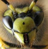 Bahattin K. fotoraflar fotoraf galerisi. 