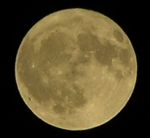 Oneman Turk - Takip ettii fotoraflar.