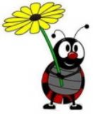 Ladybug Crash foto�raflar� foto�raf galerisi. 