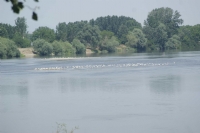 Meriç Nehri
