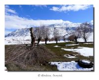 Bahara Az Kald - Fotoraf: Hakan Irmak fotoraflar fotoraf galerisi. 