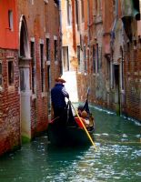 Venice 2 - Fotoraf: Gull Bar fotoraflar fotoraf galerisi. 