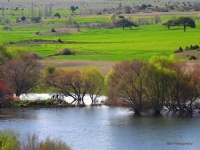 Sudan Hayatlar