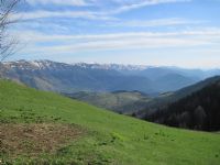 Karadeniz Yaylalarnda lkbahar - Fotoraf: Mustafa Kacagan fotoraflar fotoraf galerisi. 