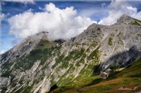 Alplerden - Fotoraf: Tamer Barbaros fotoraflar fotoraf galerisi. 