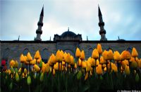 Lale-li Yeni Camii - Fotoraf: Selman Urluca fotoraflar fotoraf galerisi. 