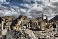 Efes Antik Kenti-3