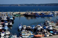 Rumeli Feneri Balk Barna - Fotoraf: Ali Muzaffer Acar fotoraflar fotoraf galerisi. 