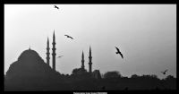 1stanbul... ! - Fotoraf: Alper Kemal zkorkmaz fotoraflar fotoraf galerisi. 