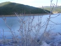 Tabiat�n Uyan���