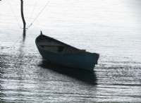 Yalnzlk - Fotoraf: Deniz Bagce fotoraflar fotoraf galerisi. 