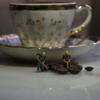Miniciks Hayatlar ” Kahve ”