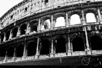 Roma Colosseum - Fotoraf: Miray Ylmaz fotoraflar fotoraf galerisi. 