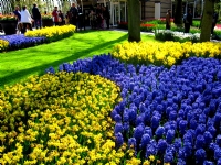 Hollanda Keukenhof