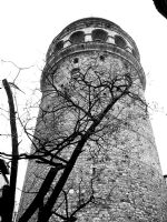 Sonbahar Ve Galata Kulesi - Fotoraf: Metin Akdede fotoraflar fotoraf galerisi. 