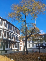 Kastamonu Konaklar�