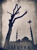 Yeni Camii - Fotoraf: Nafi en fotoraflar fotoraf galerisi. 