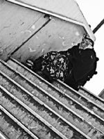 Ar Ar kacaksn Bu Merdivenlerden.... - Fotoraf: Esma Kkaliolu fotoraflar fotoraf galerisi. 