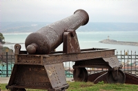 Cannon By Canon