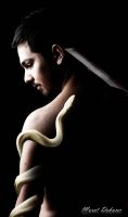 Snake - Fotoraf: Murat Dokurer fotoraflar fotoraf galerisi. 