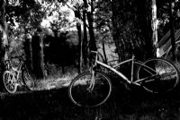 Bisikletler - Fotoraf: Glen Mutlu fotoraflar fotoraf galerisi. 