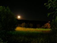 Gece,ay Ve Yeil - Fotoraf: Yaar Sarolu fotoraflar fotoraf galerisi. 