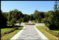 Atatrk Arboretumu