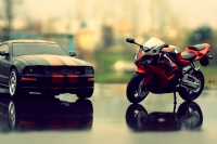 Mustang&honda