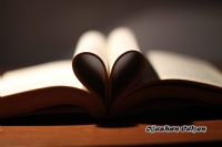 Kitabn Sevgisi...