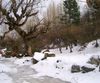 Kar Manzaras... - Fotoraf: Erhan Basyigit fotoraflar fotoraf galerisi. 