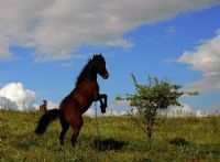 ahlan - Fotoraf: mit Gner fotoraflar fotoraf galerisi. 