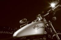 Harley - Fotoraf: Sekin Girgin fotoraflar fotoraf galerisi. 