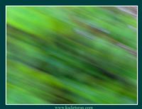 Deklan��r�m�n F�r�as�ndan - Foto�raf: Kadir Turan foto�raflar� foto�raf galerisi. 