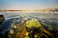 Bodrum’da Denize Saklanan Talar