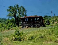 Orman Evi Ve Huzurlu Ortam