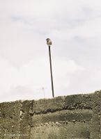 Yalnz Yalnzken - Fotoraf: Turan zfidan fotoraflar fotoraf galerisi. 