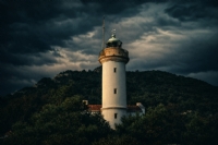 F�rt�na Geliyor...