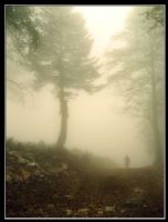 Fog &...... - Fotoraf: Fikret Cem Atalay fotoraflar fotoraf galerisi. 