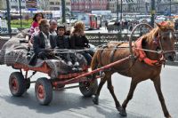 ... - Fotoraf: Nusret Tek fotoraflar fotoraf galerisi. 