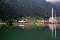 Uzungl