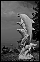 Dolphins - Fotoraf: Caner Cmertel fotoraflar fotoraf galerisi. 